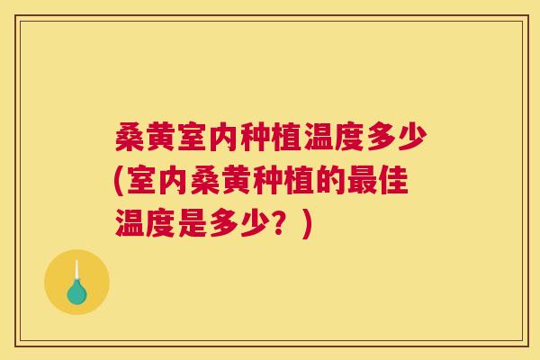 桑黄室内种植温度多少(室内桑黄种植的佳温度是多少?) 桑黄室内种植温度多少(室内桑黄种植的佳温度是多少?)