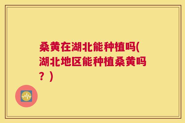 桑黄在湖北能种植吗(湖北地区能种植桑黄吗?) 桑黄在湖北能种植吗(湖北地区能种植桑黄吗?)
