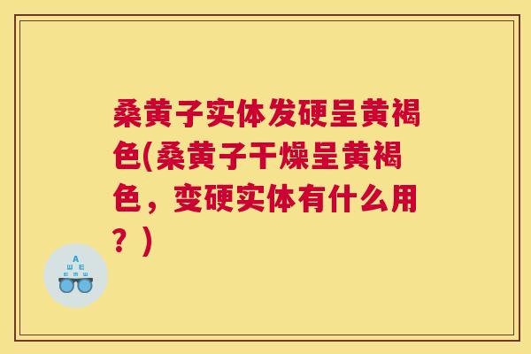 桑黄子实体发硬呈黄褐色(桑黄子干燥呈黄褐色,变硬实体有什么用?) 桑黄子实体发硬呈黄褐色(桑黄子干燥呈黄褐色,变硬实体有什么用?)