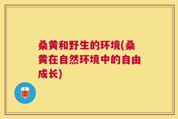 桑黄和野生的环境(桑黄在自然环境中的自由成长) 桑黄和野生的环境(桑黄在自然环境中的自由成长)