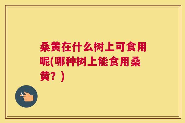 桑黄在什么树上可食用呢(哪种树上能食用桑黄?) 桑黄在什么树上可食用呢(哪种树上能食用桑黄?)