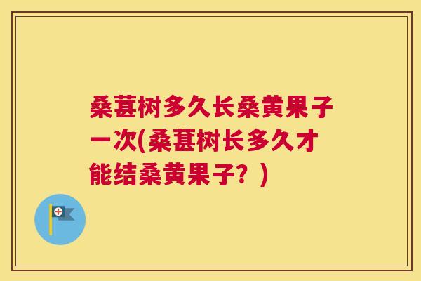 桑葚树多久长桑黄果子一次(桑葚树长多久才能结桑黄果子?) 桑葚树多久长桑黄果子一次(桑葚树长多久才能结桑黄果子?)