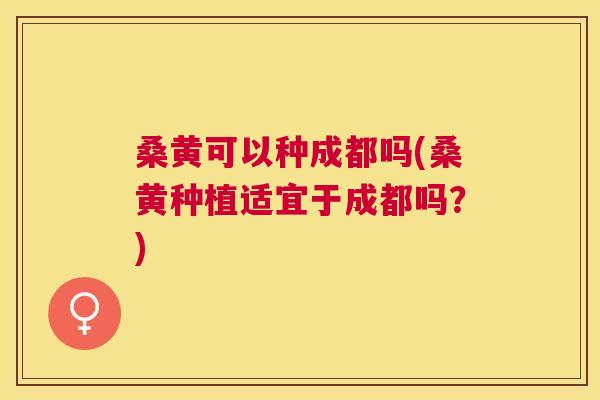 桑黄可以种成都吗(桑黄种植适宜于成都吗?) 桑黄可以种成都吗(桑黄种植适宜于成都吗?)