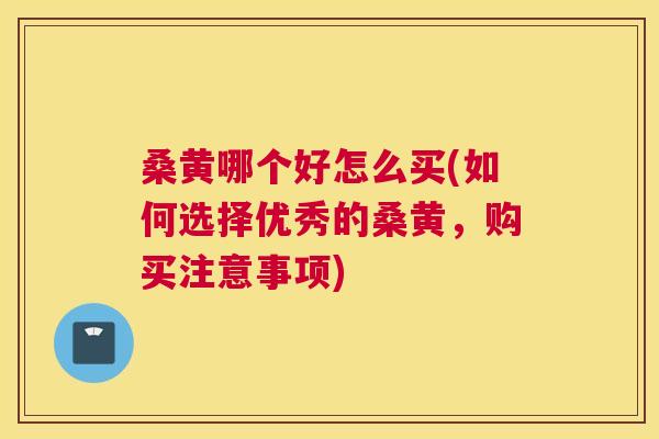 桑黄哪个好怎么买(如何选择优秀的桑黄,购买注意事项) 桑黄哪个好怎么买(如何选择优秀的桑黄,购买注意事项)