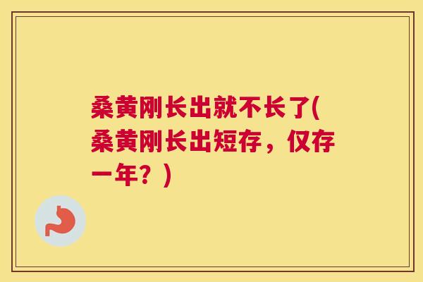 桑黄刚长出就不长了(桑黄刚长出短存,仅存一年?) 桑黄刚长出就不长了(桑黄刚长出短存,仅存一年?)