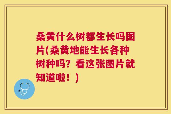 桑黄什么树都生长吗图片(桑黄地能生长各种树种吗?看这张图片就知道啦!) 桑黄什么树都生长吗图片(桑黄地能生长各种树种吗?看这张图片就知道啦!)
