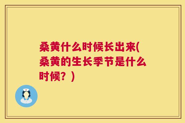 桑黄什么时候长出来(桑黄的生长季节是什么时候?) 桑黄什么时候长出来(桑黄的生长季节是什么时候?)