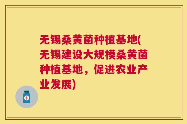 无锡桑黄菌种植基地(无锡建设大规模桑黄菌种植基地,促进农业产业发展) 无锡桑黄菌种植基地(无锡建设大规模桑黄菌种植基地,促进农业产业发展)