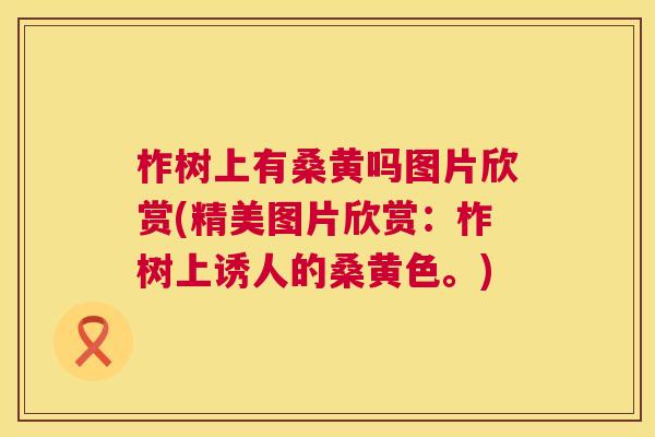 柞树上有桑黄吗图片欣赏(精美图片欣赏：柞树上诱人的桑黄色。)
