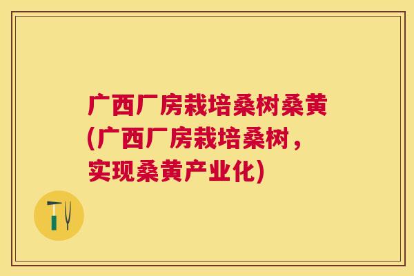 广西厂房栽培桑树桑黄(广西厂房栽培桑树,实现桑黄产业化) 广西厂房栽培桑树桑黄(广西厂房栽培桑树,实现桑黄产业化)