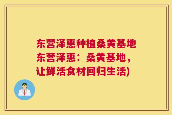 东营泽惠种植桑黄基地东营泽惠:桑黄基地,让鲜活食材回归生活) 东营泽惠种植桑黄基地东营泽惠:桑黄基地,让鲜活食材回归生活)