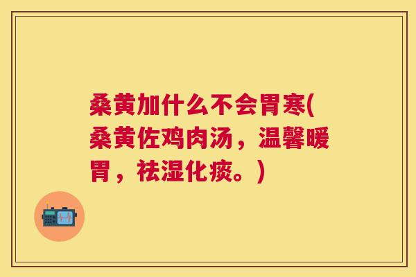 桑黄加什么不会胃寒(桑黄佐鸡肉汤,温馨暖胃,祛湿化痰。) 桑黄加什么不会胃寒(桑黄佐鸡肉汤,温馨暖胃,祛湿化痰。)
