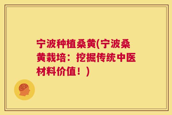 宁波种植桑黄(宁波桑黄栽培:挖掘传统中医材料价值!) 宁波种植桑黄(宁波桑黄栽培:挖掘传统中医材料价值!)
