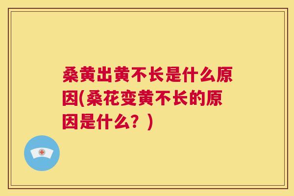 桑黄出黄不长是什么原因(桑花变黄不长的原因是什么?) 桑黄出黄不长是什么原因(桑花变黄不长的原因是什么?)