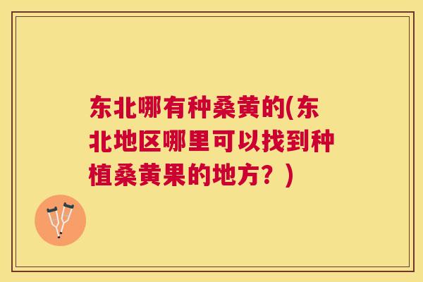 东北哪有种桑黄的(东北地区哪里可以找到种植桑黄果的地方？)