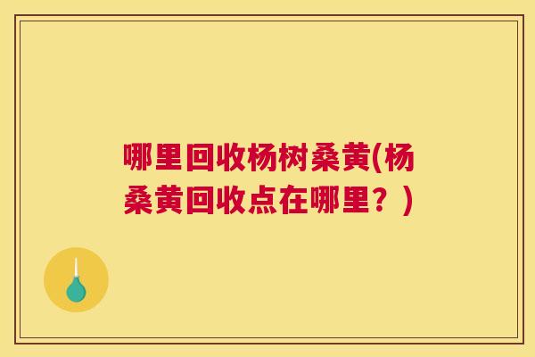 哪里回收杨树桑黄(杨桑黄回收点在哪里?) 哪里回收杨树桑黄(杨桑黄回收点在哪里?)