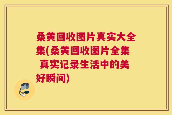 桑黄回收图片真实大全集(桑黄回收图片全集 真实记录生活中的美好瞬间) 桑黄回收图片真实大全集(桑黄回收图片全集 真实记录生活中的美好瞬间)