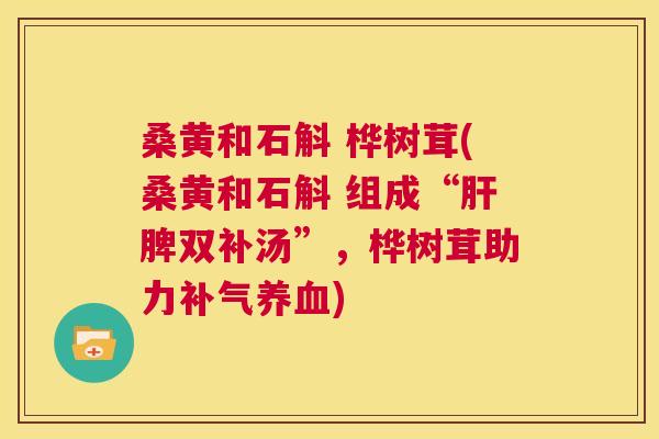 桑黄和石斛 桦树茸(桑黄和石斛 组成“脾双补汤”,桦树茸助力) 桑黄和石斛 桦树茸(桑黄和石斛 组成“脾双补汤”,桦树茸助力)
