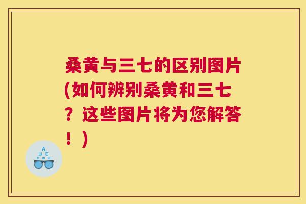 桑黄与三七的区别图片(如何辨别桑黄和三七?这些图片将为您解答!) 桑黄与三七的区别图片(如何辨别桑黄和三七?这些图片将为您解答!)