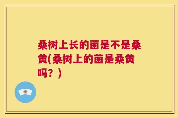 桑树上长的菌是不是桑黄(桑树上的菌是桑黄吗?) 桑树上长的菌是不是桑黄(桑树上的菌是桑黄吗?)