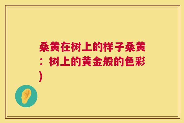 桑黄在树上的样子桑黄:树上的黄金般的色彩) 桑黄在树上的样子桑黄:树上的黄金般的色彩)