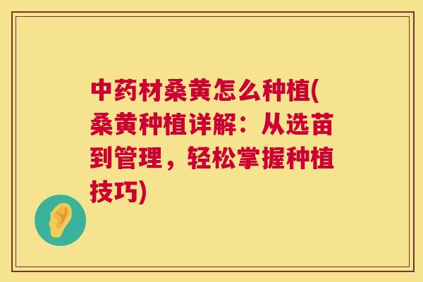 材桑黄怎么种植(桑黄种植详解:从选苗到管理,轻松掌握种植技巧) 材桑黄怎么种植(桑黄种植详解:从选苗到管理,轻松掌握种植技巧)