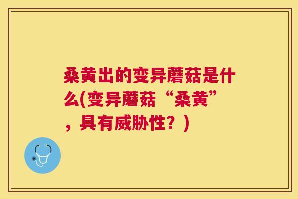桑黄出的变异蘑菇是什么(变异蘑菇“桑黄”,具有威胁性?) 桑黄出的变异蘑菇是什么(变异蘑菇“桑黄”,具有威胁性?)