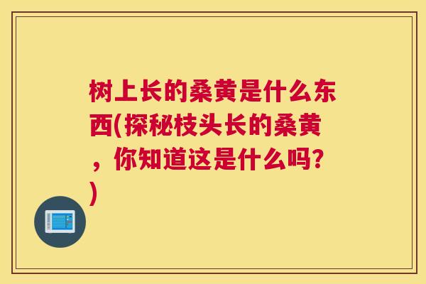 树上长的桑黄是什么东西(探秘枝头长的桑黄,你知道这是什么吗?) 树上长的桑黄是什么东西(探秘枝头长的桑黄,你知道这是什么吗?)