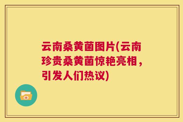 云南桑黄菌图片(云南珍贵桑黄菌惊艳亮相,引发人们热议) 云南桑黄菌图片(云南珍贵桑黄菌惊艳亮相,引发人们热议)