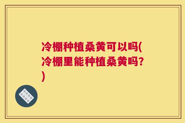 冷棚种植桑黄可以吗(冷棚里能种植桑黄吗?) 冷棚种植桑黄可以吗(冷棚里能种植桑黄吗?)