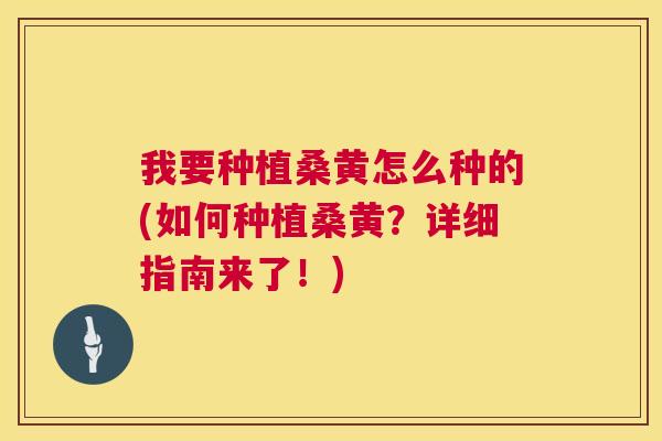 我要种植桑黄怎么种的(如何种植桑黄?详细指南来了!) 我要种植桑黄怎么种的(如何种植桑黄?详细指南来了!)