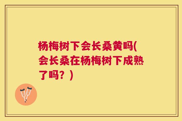 杨梅树下会长桑黄吗(会长桑在杨梅树下成熟了吗?) 杨梅树下会长桑黄吗(会长桑在杨梅树下成熟了吗?)
