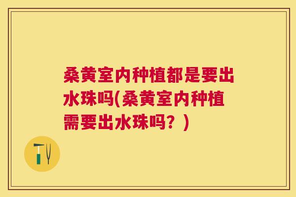 桑黄室内种植都是要出水珠吗(桑黄室内种植需要出水珠吗?) 桑黄室内种植都是要出水珠吗(桑黄室内种植需要出水珠吗?)