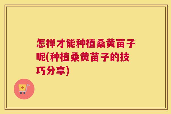 怎样才能种植桑黄苗子呢(种植桑黄苗子的技巧分享) 怎样才能种植桑黄苗子呢(种植桑黄苗子的技巧分享)
