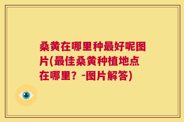 桑黄在哪里种好呢图片(佳桑黄种植地点在哪里?-图片解答) 桑黄在哪里种好呢图片(佳桑黄种植地点在哪里?-图片解答)