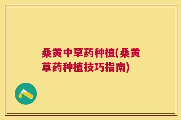 桑黄中草药种植(桑黄草药种植技巧指南) 桑黄中草药种植(桑黄草药种植技巧指南)