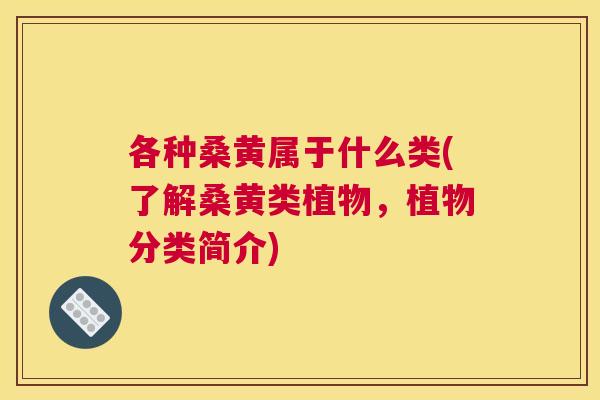 各种桑黄属于什么类(了解桑黄类植物,植物分类简介) 各种桑黄属于什么类(了解桑黄类植物,植物分类简介)