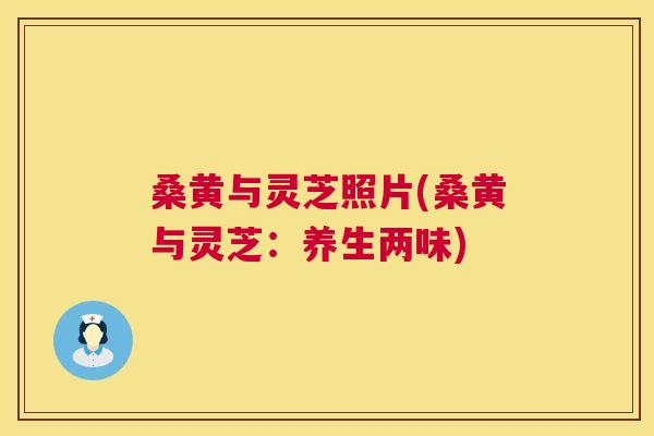 桑黄与灵芝照片(桑黄与灵芝:养生两味) 桑黄与灵芝照片(桑黄与灵芝:养生两味)