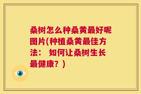 桑树怎么种桑黄好呢图片(种植桑黄佳方法: 如何让桑树生长健康?) 桑树怎么种桑黄好呢图片(种植桑黄佳方法: 如何让桑树生长健康?)