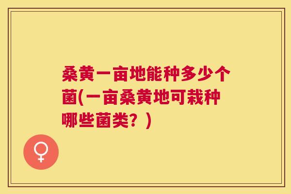 桑黄一亩地能种多少个菌(一亩桑黄地可栽种哪些菌类？)