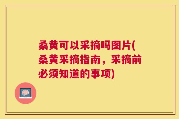 桑黄可以采摘吗图片(桑黄采摘指南,采摘前必须知道的事项) 桑黄可以采摘吗图片(桑黄采摘指南,采摘前必须知道的事项)