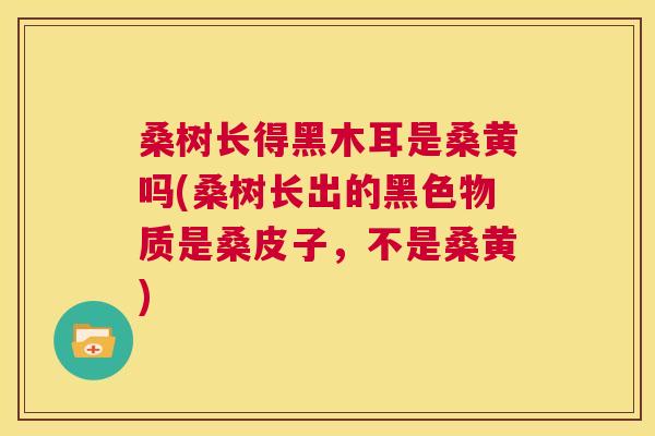 桑树长得黑木耳是桑黄吗(桑树长出的黑色物质是桑皮子,不是桑黄) 桑树长得黑木耳是桑黄吗(桑树长出的黑色物质是桑皮子,不是桑黄)
