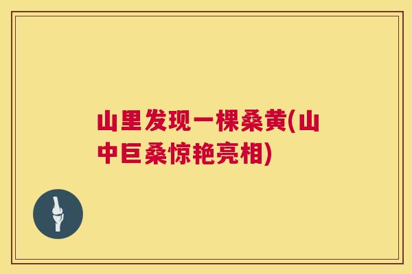 山里发现一棵桑黄(山中巨桑惊艳亮相) 山里发现一棵桑黄(山中巨桑惊艳亮相)