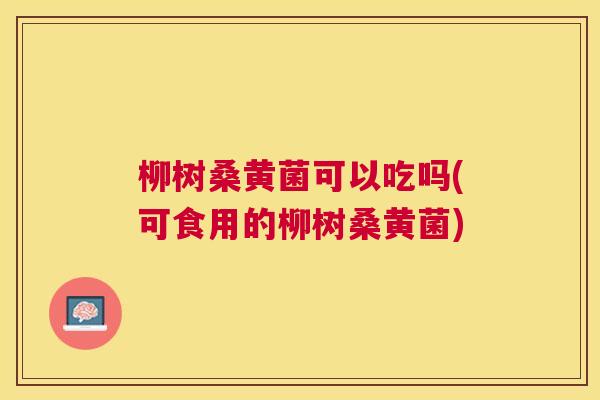 柳树桑黄菌可以吃吗(可食用的柳树桑黄菌) 柳树桑黄菌可以吃吗(可食用的柳树桑黄菌)