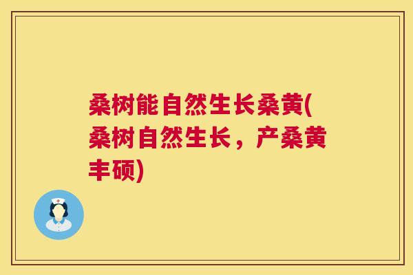 桑树能自然生长桑黄(桑树自然生长,产桑黄丰硕) 桑树能自然生长桑黄(桑树自然生长,产桑黄丰硕)