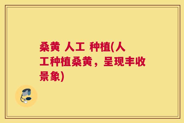 桑黄 人工 种植(人工种植桑黄,呈现丰收景象) 桑黄 人工 种植(人工种植桑黄,呈现丰收景象)