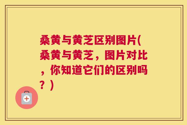 桑黄与黄芝区别图片(桑黄与黄芝,图片对比,你知道它们的区别吗?) 桑黄与黄芝区别图片(桑黄与黄芝,图片对比,你知道它们的区别吗?)