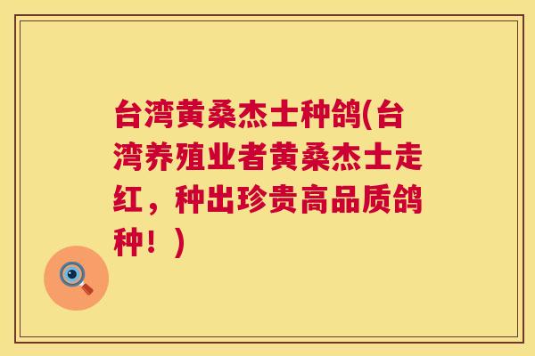 台湾黄桑杰士种鸽(台湾养殖业者黄桑杰士走红,种出珍贵高品质鸽种!) 台湾黄桑杰士种鸽(台湾养殖业者黄桑杰士走红,种出珍贵高品质鸽种!)