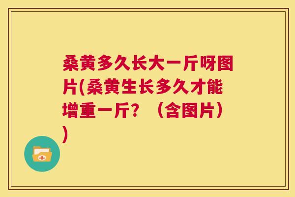 桑黄多久长大一斤呀图片(桑黄生长多久才能增重一斤?(含图片)) 桑黄多久长大一斤呀图片(桑黄生长多久才能增重一斤?(含图片))