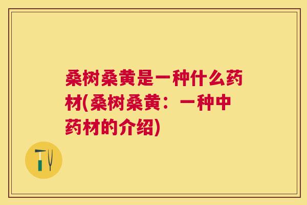 桑树桑黄是一种什么药材(桑树桑黄:一种材的介绍) 桑树桑黄是一种什么药材(桑树桑黄:一种材的介绍)